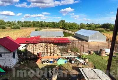 Vand casa cu 5 camere 4500 mp teren, iaz cu populat cu pe?te in Tecuci Vand casa cu 5 camere 4500 mp teren, iaz cu populat cu pe?te in Tecuci - 3