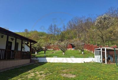 CASA DE VACANTA - UN MIC COLT DE RAI , STEFANESTI, ARGES CASA DE VACANTA - UN MIC COLT DE RAI , STEFANESTI, ARGES - 15