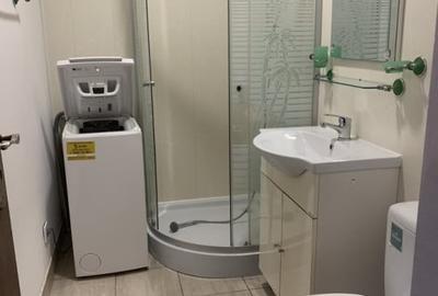 Apartament cu 2 camere semidecomandat, mobilat în Bariera Vâlcii - 3