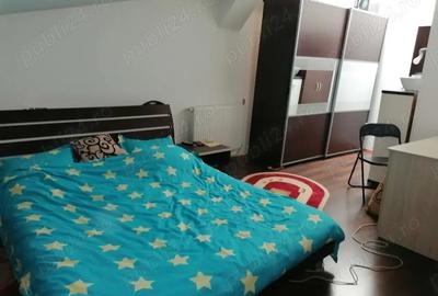 Vand mansarda zona general - 3