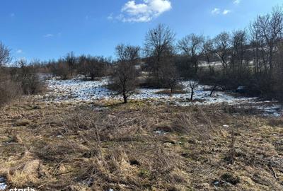 Spațiu comercial, în Suceagu - 4