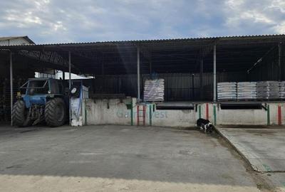 Gaminvest Fabrica de morarit de vanzare in Judetul Bihor, Romania V3234 - 16