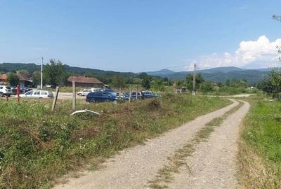 Teren de 5600 mp, în Hălmagiu - 4