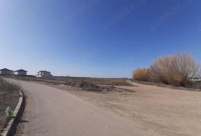 Teren de vanzare 4506mp str.Mierlei Tunari Ilfov - 1