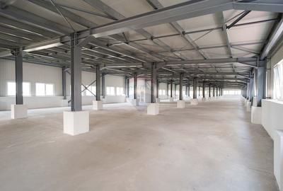 Spatiu de Birouri / Productie/ Sala Fitness | de 1.112 mp - 5