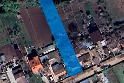 Teren  1333 mp deschidere lac Moara Vlasiei toate utilitatile, proiect - 1