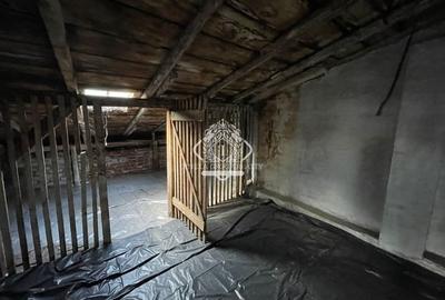 Parcul Carol I Vila interbelica I 2 locuri de parcare Parcul Carol I Vila interbelica I 2 locuri de parcare - 8