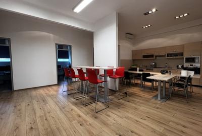 Hala noua ideal depozit/productie - 10