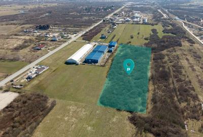 Teren agricol extravilan de 7194 mp, în Păltiniș - 1