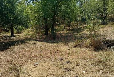 Casă individuală cu 7 camere cu Canalizare în Iablanița - 16