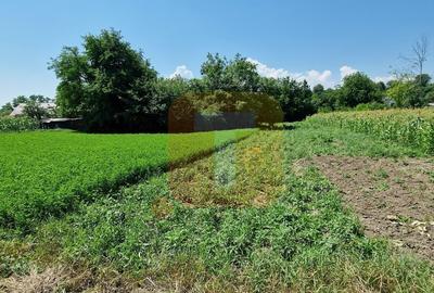 Teren intravilan 4.133 mp cu dublă deschidere – Girov, Neamț | Toma Imobiliare - 4