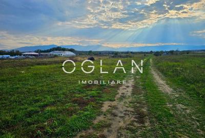 Teren Selimbar-DN1, comercial/industrial, COMISION 0% - 3