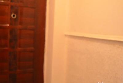 Apartament cu 2 camere semidecomandat în Cezar Petrescu - 3