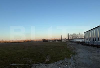 Teren Construcții intravilan de 4307 mp, în Podari - 3