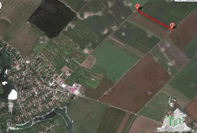 Teren de 71056 mp, în Petrăchioaia - 7