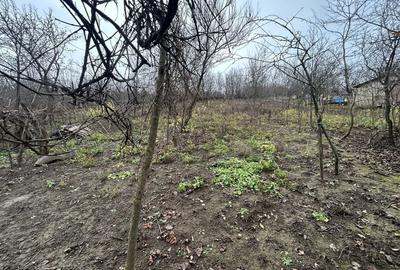 Spațiu comercial, în Corpadea - 1