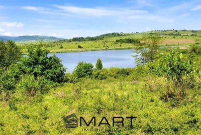 Teren extravilan 3200mp lac Sacel - 2