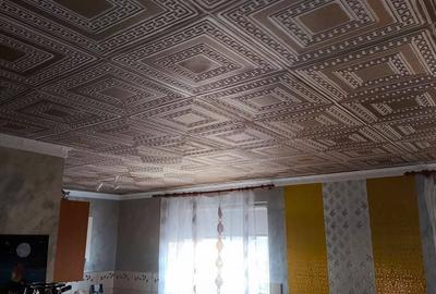 CASA DE VANZARE - 4