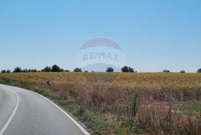 Teren agricol extravilan de 16083 mp, în Est - 1