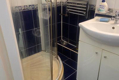 Sala Palatului, Ion Campineanu - 14