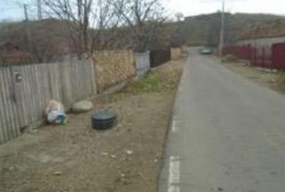 Casă cu 1 camere cu Teren 1467 Mp în Coconari - 8