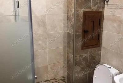 Apartament cu o camera de inchiriat in zona Sagului - 3