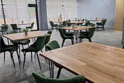 Pensiune premium de vanzare in Voronet  1.610 mp utili, teren 1.021 mp, afacere - 16