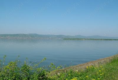Teren de 8000 mp, în Drăgoești - 2