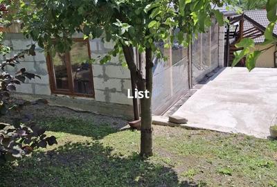 Casa 3 dormitoare la rosu Drajna - 2