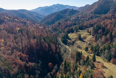 Teren Construcții extravilan de 20000 mp, în Siriu - 12