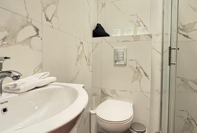 Apartament cu 4 camere semidecomandat, mobilat în Universitate - 7