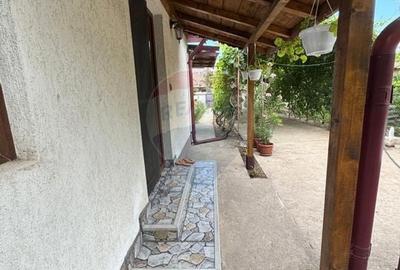 Casa / Vila cu 6 camere de vanzare in zona Ultracentral - 25