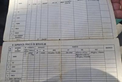 Teren de 5000 mp, în Creața