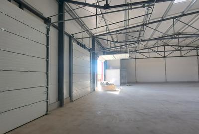 Drumul intre Tarlale, sector 3, hala 590 mp - 2