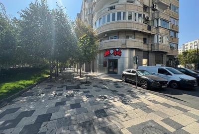 Spatiu comercial 100 mp de vanzare – Dristor / Camil Ressu - 1