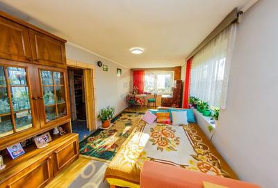 DE VANZARE Oportunitate rara proprietate cu 2 case zona Ulmeni - 16