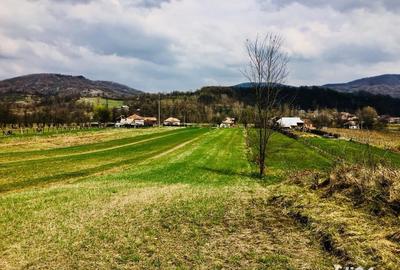 Teren de 5000 mp, în Central - 4