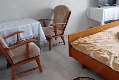 Casă cu 6 camere cu Teren 565 Mp în Ișalnița - 3