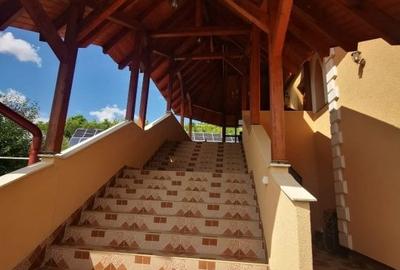 Vand un mic castel D+P+M , in zona Corunca, unde se poate locui gratis, - 8
