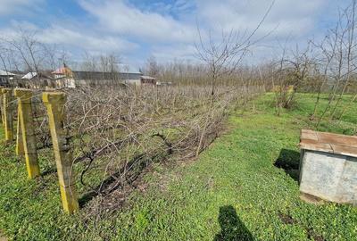 Casă cu 4 camere cu Teren 2170 Mp în Nucetu - 2