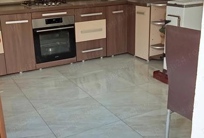 Casa saseasca la ?ara - 3