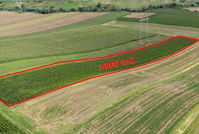 Teren agricol de vanzare - 2