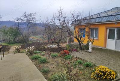 Casă cu 6 camere cu Teren 2000 Mp în Târgu Bujor - 1