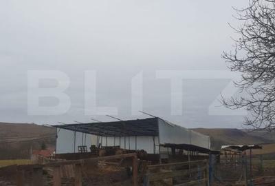 Casă cu 3 camere cu Teren 9600 Mp în Sânmihaiu de Câmpie - 6