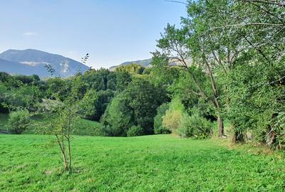 Teren pentru investitie sau casa de vacanta , Pestera , Brasov - 2