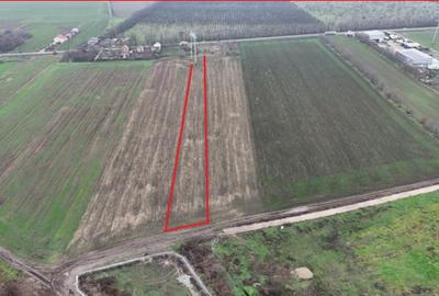 FRUMUSANI-ORASTI, LOT 7630 MP! - 3