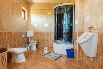 Vila P+E+M Sanpetru Teren 2400 Mp Vila P+E+M Sanpetru Teren 2400 Mp - 8