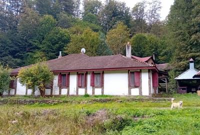 Casa de vacanta Crivaia, langa Valiug –locatie idilica, ideala pentru timp liber - 1