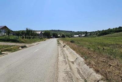 Teren 2.340mp, Dancas Miroslava, - 2