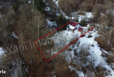 Casă cu 4 camere cu Teren 1435 Mp în Bradu - 3